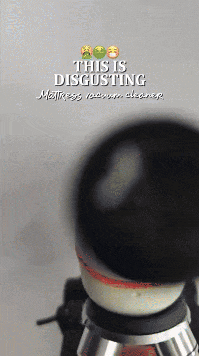Breathe Deeper, Sleep Cleaner,